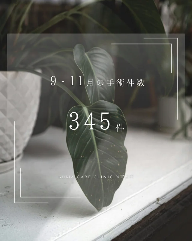 🌱

いつも全国各地から多くの患者様にご来院いただき、誠にありがとうございます✨

2025年9月から11月にかけて、
延べ345名様に経結膜脱脂術を施術させていただきました。

当院はクマ取り脱脂術の専門クリニックです。
日常生活の中でお受けいただけるよう、痛くなく・腫れない手術を徹底的に行っております。
無理に手術を勧める営業やアップセルは一切行っておりません。
また、年齢・性別・クマの大きさにかかわらず一律料金のため、安心してご検討いただけます。

カウンセリングは無料です。
事前にしっかりと、当院のクマ取り脱脂術についてご説明させていただきます。
骨格や目の下の状態はお一人おひとり異なりますので、
クマが気になる方は、ぜひ一度無料カウンセリングへお越しください😌

ご来院が不安な方には、オンライン無料相談も実施しております🌿

皆さまのご来院を、スタッフ一同心よりお待ちしております🕊

_________________________

KUMA CARE CLINIC 名古屋院
📍名古屋市西区名駅3-10-15 名駅三丁目ビル2階
☎️052-564-7070
⏰9:00〜18:00
_________________________

#KUMACARECLINIC名古屋 #クマケアクリニック名古屋
#クマ治療 #クマケア #クマ取り #脱脂術
#クマ取り脱脂術 #アンチエイジング
#くま #クマ #下眼瞼脱脂術 #たるみ
#愛知 #名古屋 #名駅 #クマ治療名古屋
#美容外科 #美容外科名古屋 #クマ取り専門　
#美容整形 #美容クリニック