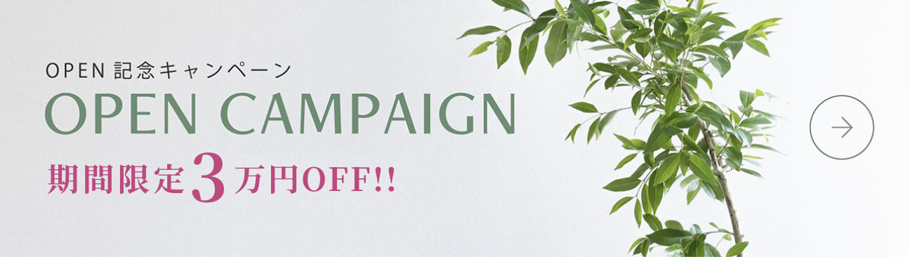 OPEN記念キャンペーン
